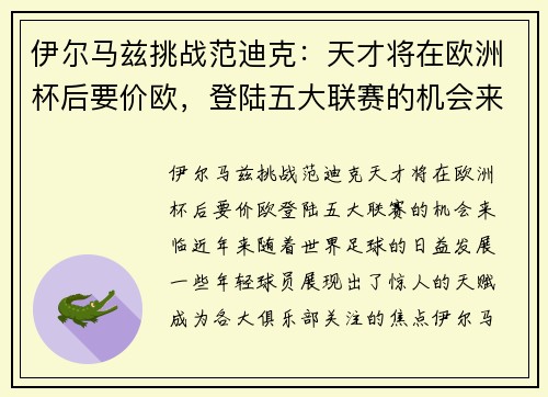 伊尔马兹挑战范迪克：天才将在欧洲杯后要价欧，登陆五大联赛的机会来临