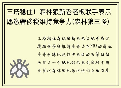 三塔稳住！森林狼新老老板联手表示愿缴奢侈税维持竞争力(森林狼三怪)