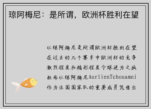 琼阿梅尼：是所谓，欧洲杯胜利在望